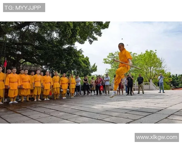 成都攀岩队区域防守体系的战术分析与实战应用探讨